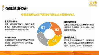 安心互聯網產品計劃 構建穩健高效的網站開發與維護體系